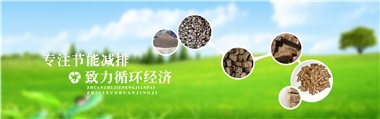 倪維斗院士：通過(guò)技術(shù)創(chuàng)新，大力發(fā)展超級(jí)能源生物質(zhì)燃料
